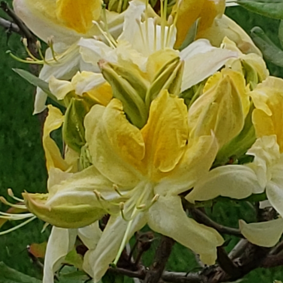 Meet your Posher, Mary - Picture 16 of 16